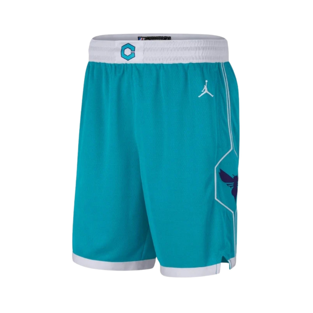 Charlotte Hornets Icon Edition Jersey 25/26 - FullKit image 3