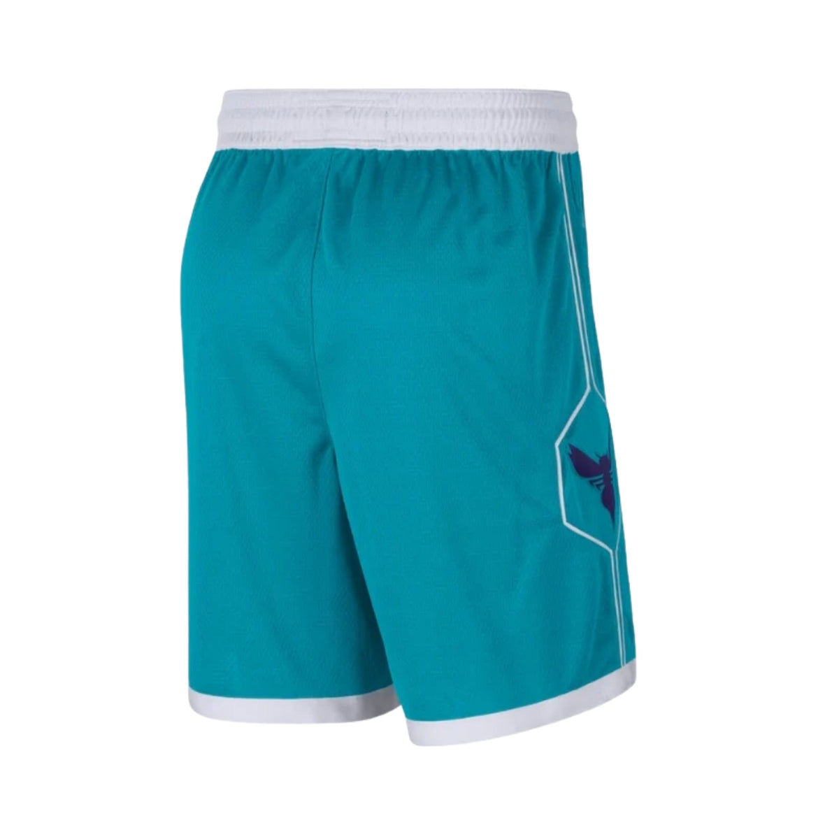 Charlotte Hornets Icon Edition Jersey 25/26 - FullKit image 4