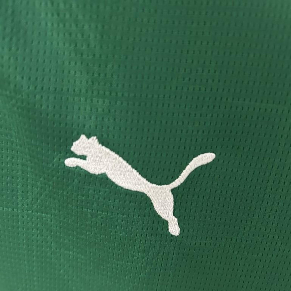 Palmeiras Home Shirt 25/26 - Women's - FullKit image 4