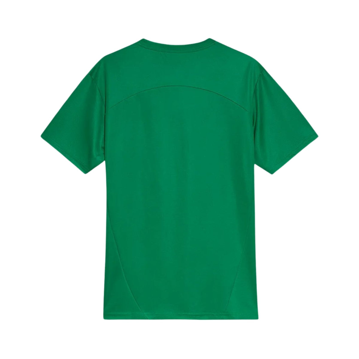 Palmeiras Training Shirt 25/26 - FullKit image 2